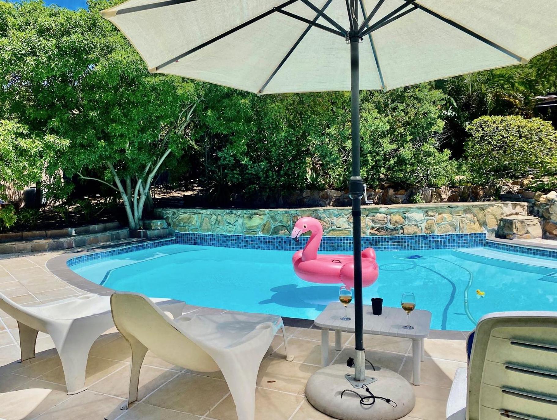 Apartment Nudist Naturist Fkk Port Nature Hout Bay *